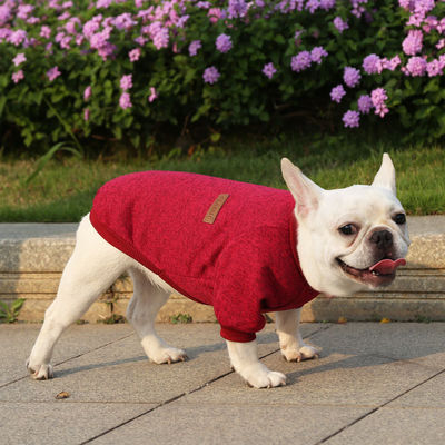 Melhore o guarda-roupa de inverno do seu animal de estimação com roupas de designers de moda