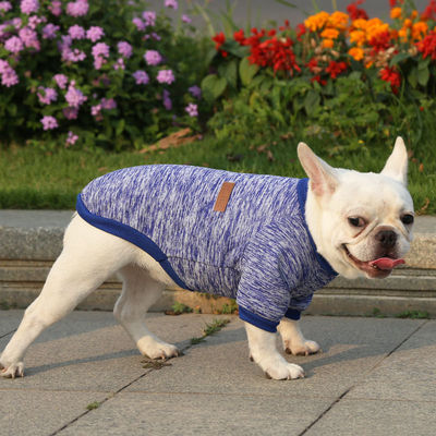 Melhore o guarda-roupa de inverno do seu animal de estimação com roupas de designers de moda