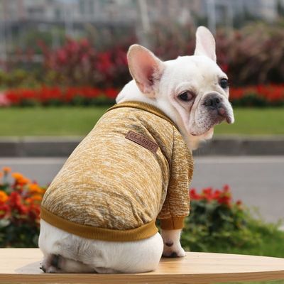 Cachorro Cachorro Cachorro Cachorro Cachorro Cachorro Cachorro