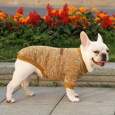 Cachorro Cachorro Cachorro Cachorro Cachorro Cachorro Cachorro