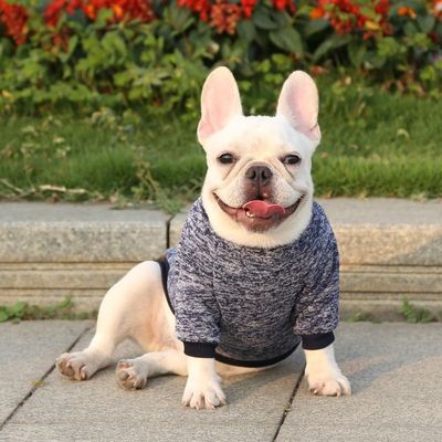 Poliéster Roupas para cães de outono e inverno para animais de estimação Roupas quentes grossas para cães pequenos XS-XXL