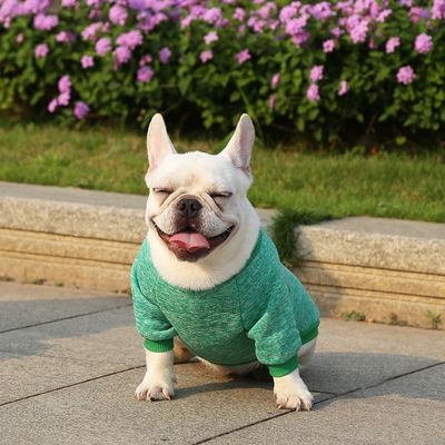 Roupas de cachorro de malha Material de poliéster de padrão sólido para seu companheiro de quatro patas