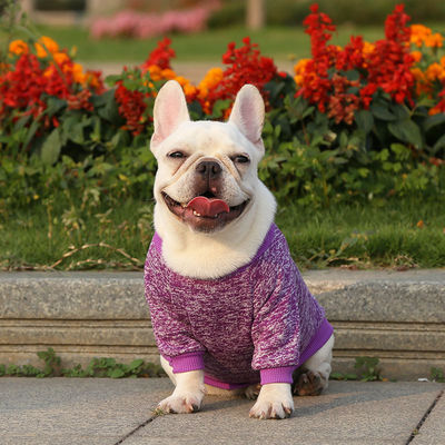 Roupas de cachorro de malha Material de poliéster de padrão sólido para seu companheiro de quatro patas