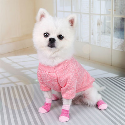 Mantenha-se na moda e confortável com estas meias rosa/azul para cães que devem ser usadas no Inverno