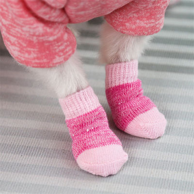 Mantenha-se na moda e confortável com estas meias rosa/azul para cães que devem ser usadas no Inverno