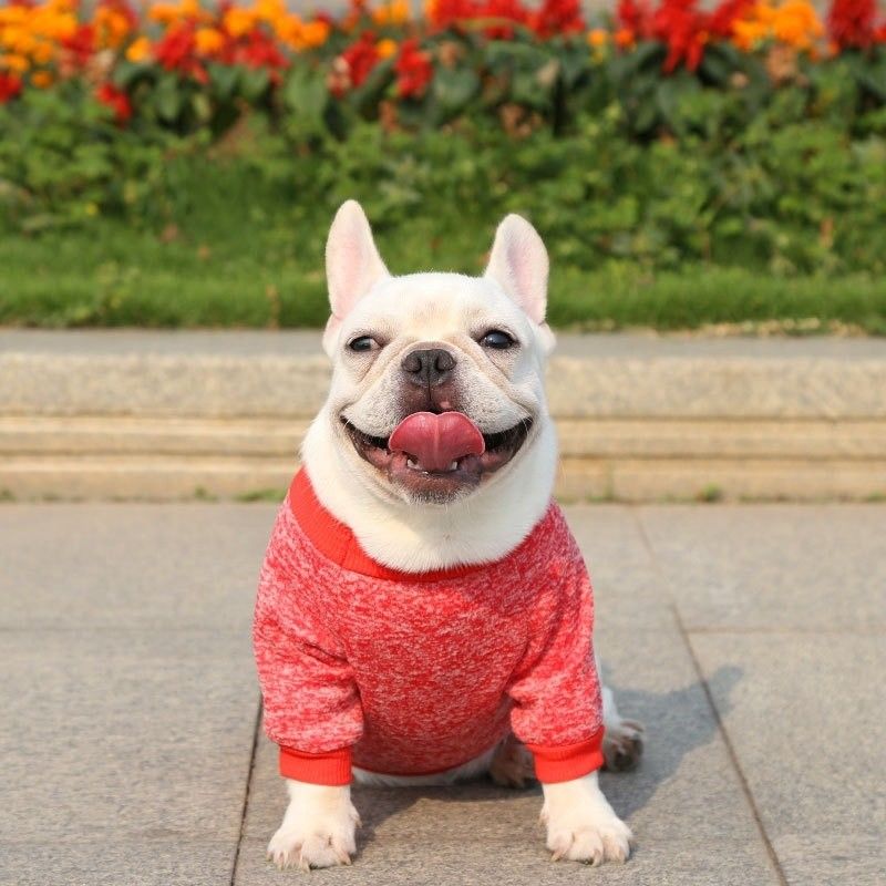 Cachorros de algodão de malha de poliéster