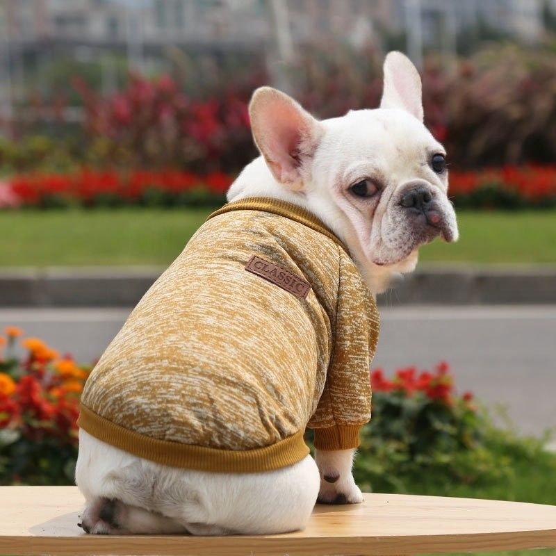 Cachorro Cachorro Cachorro Cachorro Cachorro Cachorro Cachorro