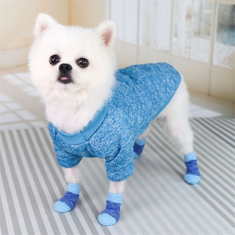 Mantenha-se na moda e confortável com estas meias rosa/azul para cães que devem ser usadas no Inverno